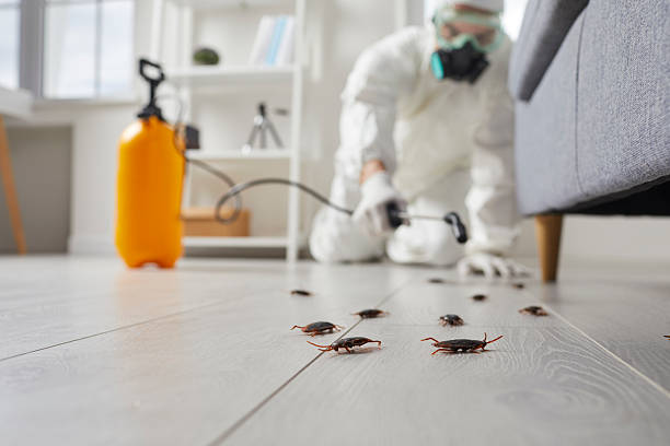 Post-Treatment Bed Bug Interceptor Monitoring in Roanoke